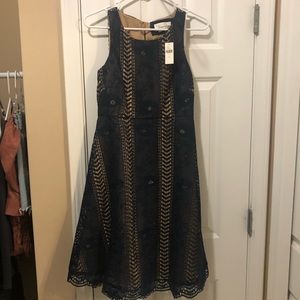 Anthropologie Georgia Blue Mini Dress NWT Size 2